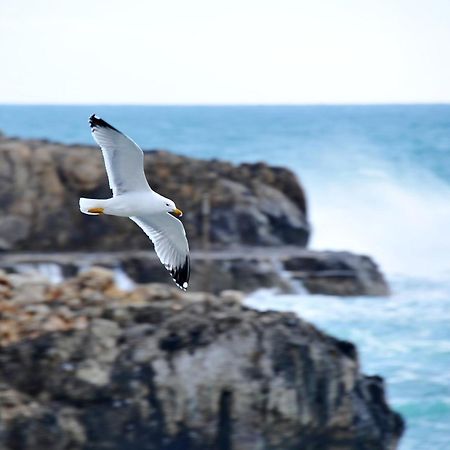 Casa Vacanza Leuca Santa Maria di Leuca Ngoại thất bức ảnh